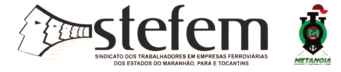 STEFEM